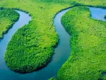 Imagem principal do artigo Amazônia: Conhecendo a floresta tropical em uma viagem imersiva